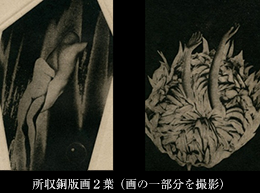 所収銅版画2葉(画の一部分を撮影)